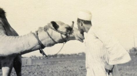 Animals – 9: Camels – 2: Preparations for the first camel trek